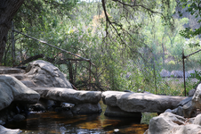 Enlarge photo 181