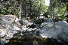Enlarge photo 183