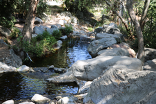 Enlarge photo 186