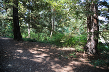 Enlarge photo 188