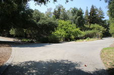 Enlarge photo 192