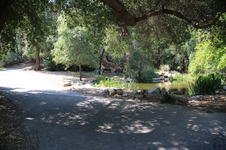 Enlarge photo 193