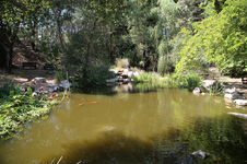 Enlarge photo 195
