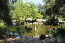 Enlarge photo 199