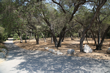 Enlarge photo 202