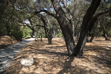 Enlarge photo 204