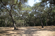 Enlarge photo 205