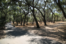 Enlarge photo 208