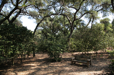 Enlarge photo 215