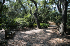 Enlarge photo 216