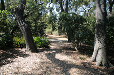 Enlarge photo 217