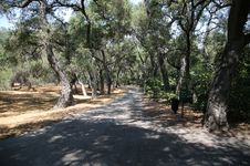 Enlarge photo 218