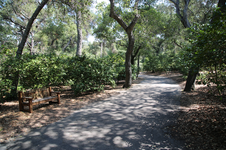 Enlarge photo 220