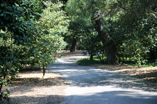 Enlarge photo 223