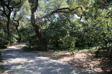 Enlarge photo 224