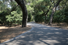 Enlarge photo 227