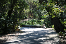 Enlarge photo 228