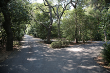 Enlarge photo 260