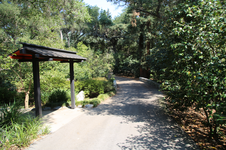 Enlarge photo 261
