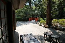 Enlarge photo 266