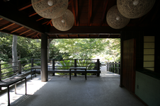 Enlarge photo 271