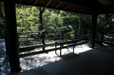 Enlarge photo 272