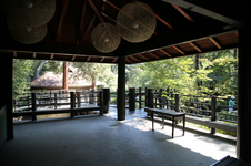 Enlarge photo 273
