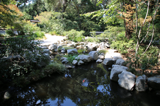 Enlarge photo 277