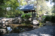 Enlarge photo 283