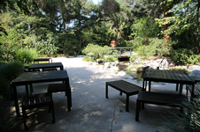 Enlarge photo 284