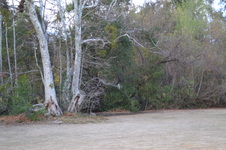 Enlarge photo 39