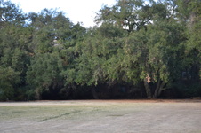 Enlarge photo 40