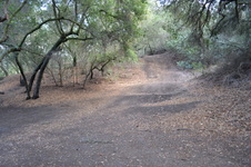 Enlarge photo 42