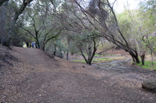 Enlarge photo 43