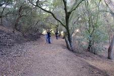 Enlarge photo 44