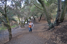 Enlarge photo 45