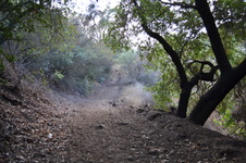Enlarge photo 46