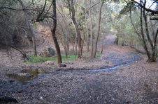 Enlarge photo 48