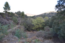 Enlarge photo 49
