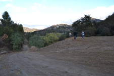 Enlarge photo 50
