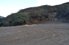 Enlarge photo 51