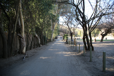 Enlarge photo 14