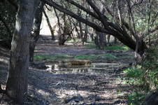 Enlarge photo 18