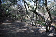 Enlarge photo 19