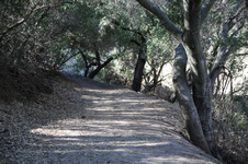 Enlarge photo 21