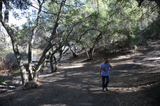 Enlarge photo 22