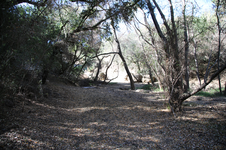 Enlarge photo 23