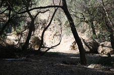Enlarge photo 24