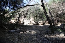 Enlarge photo 25
