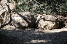Enlarge photo 26